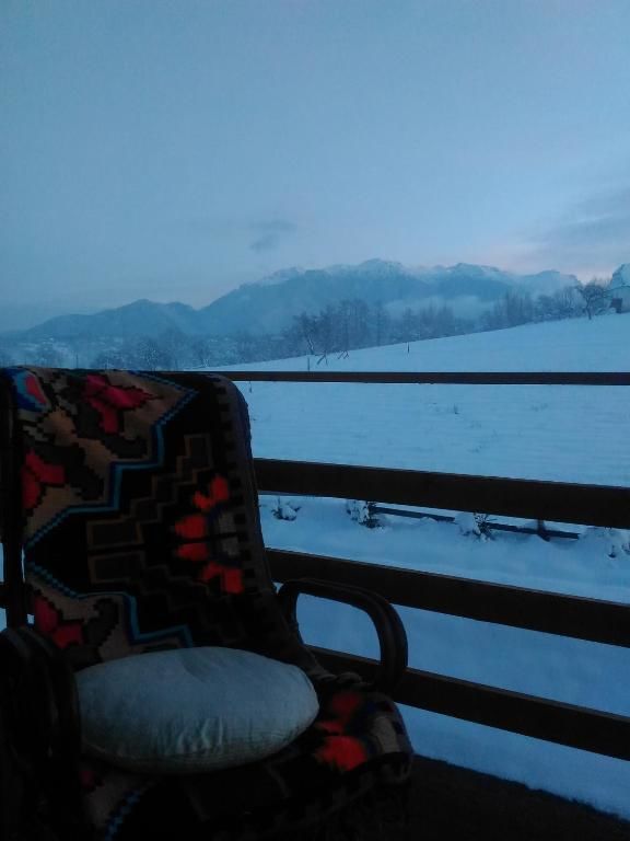 Гостевой дом Vila Rem Бран