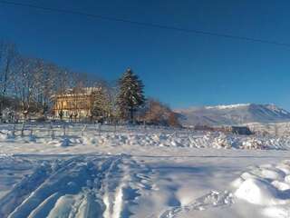 Гостевой дом Vila Rem Бран Вилла-21