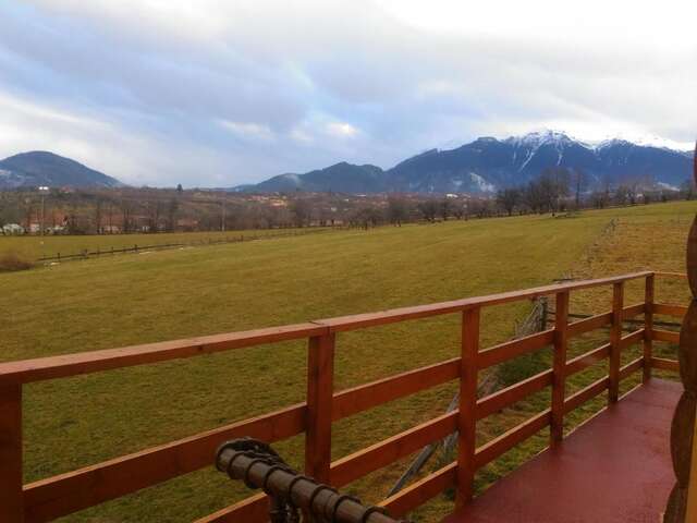 Гостевой дом Vila Rem Бран-17