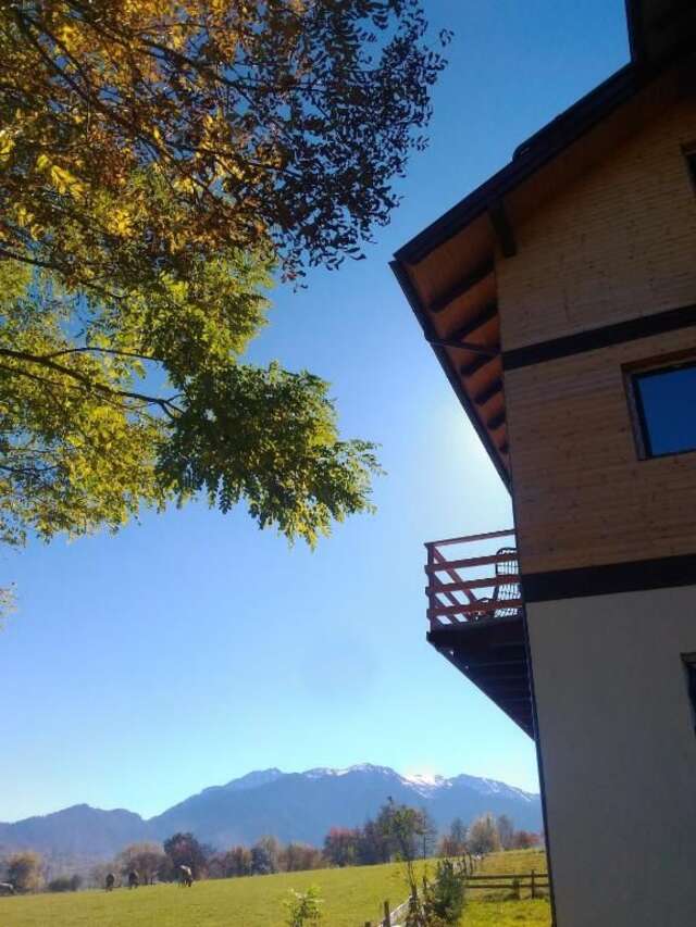 Гостевой дом Vila Rem Бран-28